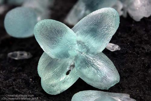 Smithsonite
Block 14 opencut, Broken Hill, Yancowinna Co., New South Wales, Australia
4.87 mm (Author: Matteo_Chinellato)