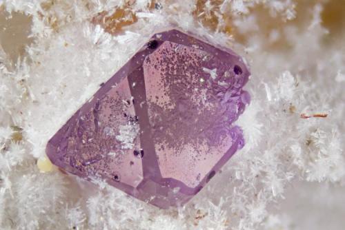 Fluorite
Poudrette quarry (Demix quarry; Uni-Mix quarry; Desourdy quarry; Carrière Mont Saint-Hilaire), Mont Saint-Hilaire, Rouville RCM, Montérégie, Québec, Canada
FOV=1.5mm (Author: Doug)