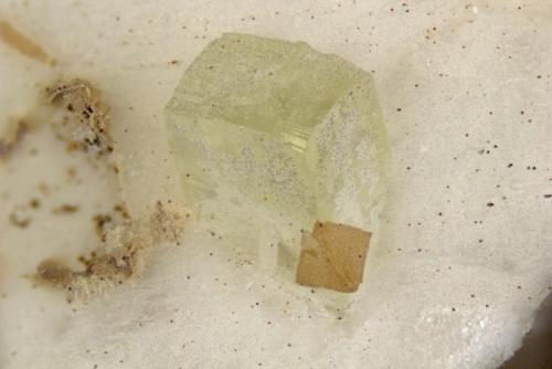 Leucophanite
Poudrette quarry (Demix quarry; Uni-Mix quarry; Desourdy quarry; Carrière Mont Saint-Hilaire), Mont Saint-Hilaire, Rouville RCM, Montérégie, Québec, Canada
FOV=3mm
Leucophanite with genthelvite (Author: Doug)
