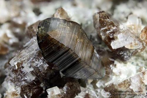 Anatase
Bourg d’Oisans, Isère, Rhône-Alpes, France
5.48 mm (Author: Matteo_Chinellato)