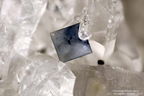 Anatase
Poulmarc’h Quarry, Grand-Champ, Morbihan, Brittany, France
0.56 mm (Author: Matteo_Chinellato)