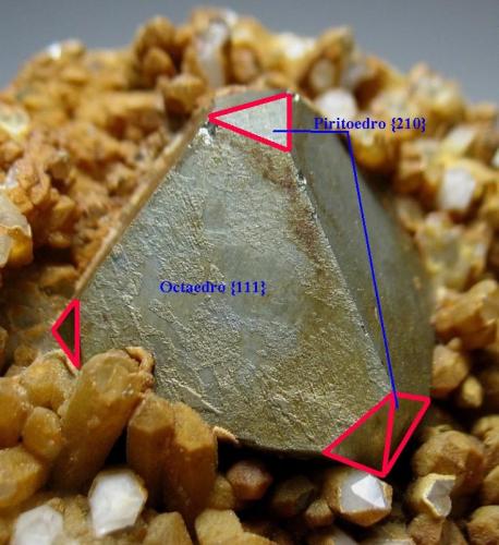 Pirita y cuarzo
Mina San Antonio, East Camp,  Santa Eulalia District, Mun. de Aquiles Serdán, Chihuahua, Méjico
2,5 cm.
Representación de las caras del octaedro {111} dominante y las modificaciones del piritoedro {210} en los vértices. Las caras del octaedro son lisas y las del piritoedro, estriadas. (Autor: Antonio Alcaide)