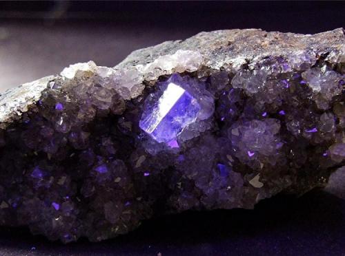 Fluorite and Quartz in LW UV
Swinehope Head, Daddry Shield, Weardale, Co Durham, England, UK.
Fluorite to 7 mm (Author: nurbo)