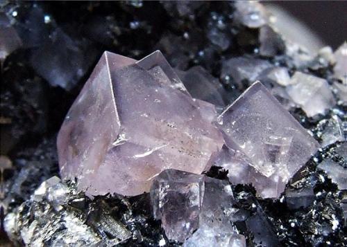 Fluorite on Oxidised Siderite
West End Hushes, Pike Law mines, Newbiggin, Teesdale, Co Durham, England, UK.
Fluorite to 7 mm (Author: nurbo)