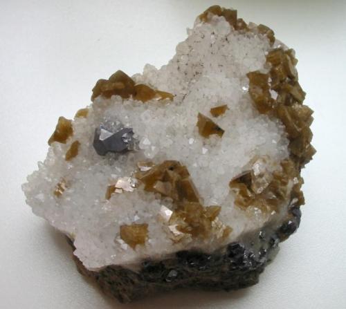 Galena, siderite, quartz
Meiseberg mine, Neudorf, Harz, Saxony-Anhalt, Germany.
9,1 x 8,2 cm
1,5 cm crystal. (Author: Andreas Gerstenberg)