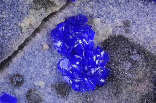 Azurita.
Concesión La Cena del Depósito, Cerro Minado, Cuesta Alta, Huercal Overa, Almería, Andalucía, España.
Campo de visión 2,2 mm. (Autor: Juan Miguel)