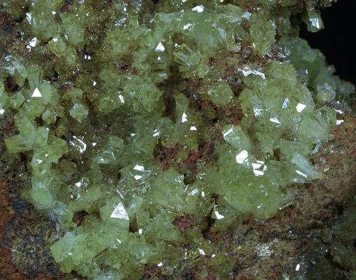 Adamite
Ojuela Mine, Mapimí, Mun. de Mapimí, Durango, Mexico
12x7 cm.
Crystal Size: 4 mm.
Fot. & Col. Juan Hernandez.
Adquired in July of 2009.

Detail of the previous specimen (Author: supertxango)