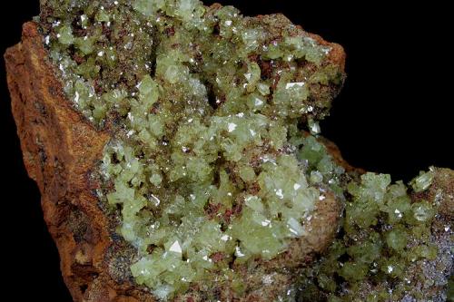 Adamite
Ojuela Mine, Mapimí, Mun. de Mapimí, Durango, Mexico
12x7 cm.
Crystal Size: 4 mm.
Fot. & Col. Juan Hernandez.
Adquired in July of 2009.

Detail of the previous specimen (Author: supertxango)