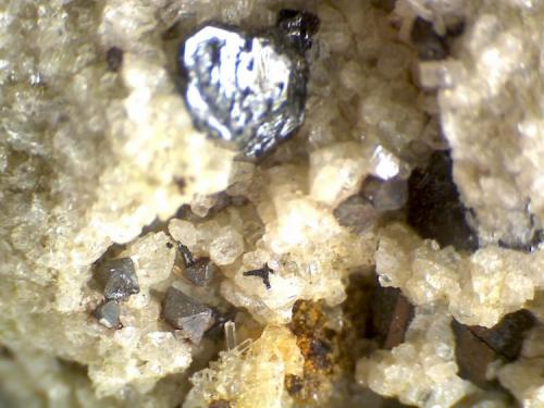 Perovskita
Cantera Dellen, Niedermendig, Mendig, complejo volcánico del Lago Laach, Eifel, Alemania
50X
Octaedros grises de perovskita en matriz de pumita de sanidina.  Los cristales negros brillantes son allanita. (Autor: prcantos)
