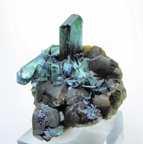 Vivianite, siderite
Colavi Mine, Machacamarca, Cornelio Saavedra, Potosí, Bolivia
78 mm x 65 mm (Author: Carles Millan)