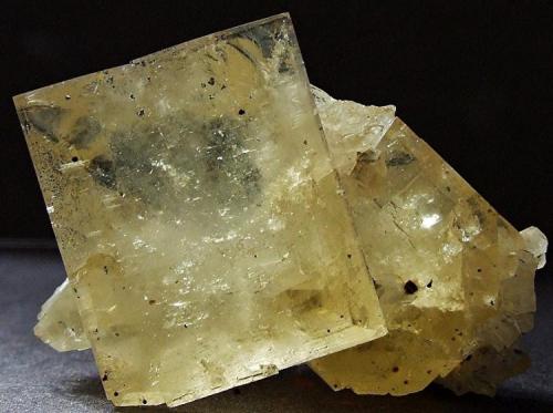 Fluorite with Chalcopyrite inclusions.
Wet Grooves Mine, near 
Aysgarth, North Yorkshire, England, UK.
43 x 32 mm (Author: nurbo)