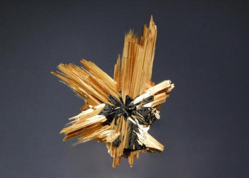 Rutile
Novo Horizonte, Bahia, Brazil
3.1 x 4.3 cm.
Found in 2010. (Author: crosstimber)