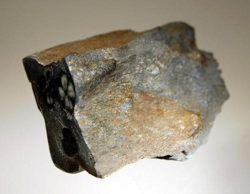 Andalusite var. chiastolite
Lancaster, Worcester County, Massachusetts
5.2 x 7.6 cm. (Author: crosstimber)