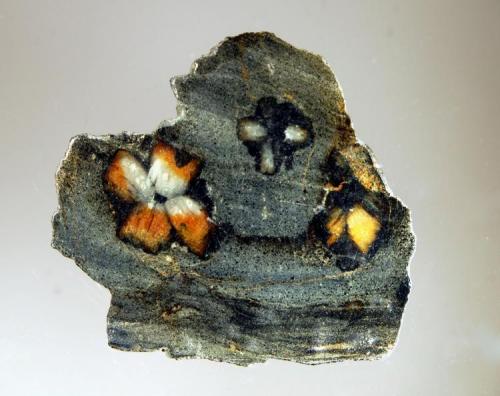 Andalusite var. chiastolite
Lancaster, Worcester County, Massachusetts (Author: crosstimber)