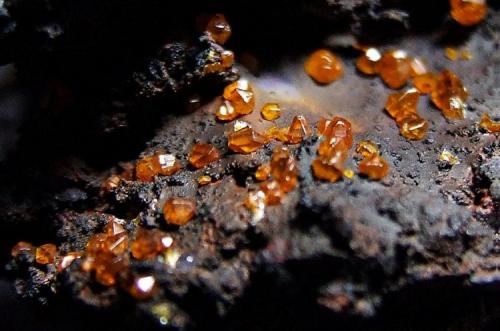 Wulfenite on Goethite.
Whim Creek, Pilbara Region, Western Australia, Australia.
20 x 13 mm approx (Author: nurbo)