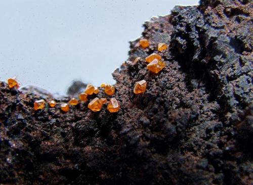 Wulfenite on Goethite.
Whim Creek, Pilbara Region, Western Australia, Australia.
25 x 18 mm approx. (Author: nurbo)