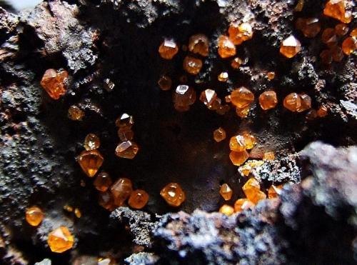 Wulfenite on Goethite.
Whim Creek, Pilbara Region, Western Australia, Australia.
20 x 15 mm approx (Author: nurbo)