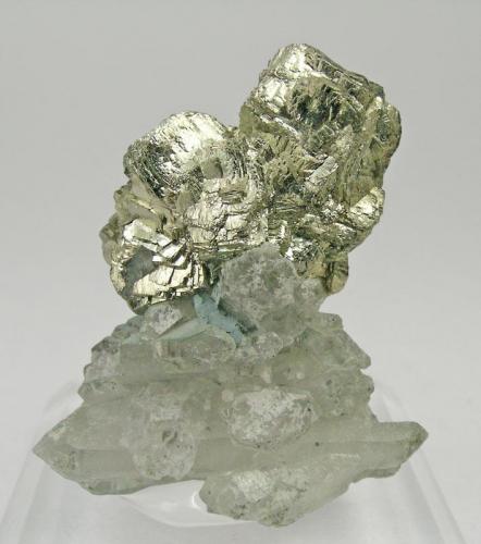 Pirita con Cuarzo
Mina Iouriren, Akka, Tafraout, Tiznit, Marruecos
Tamaño de la pieza: 4.2 × 3.5 × 2.3 cm.
El cristal más grande mide: 0.7 × 0.5 cm.
Encontrada el año 2009
Foto: Minerales de Referencia (Autor: Jordi Fabre)