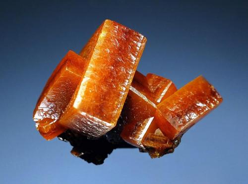 Wulfenite
Erupcion Mine, Sierra de Los Lamentos, Chihuahua, Mexico
2.4 x 2.9 cm (Author: crosstimber)