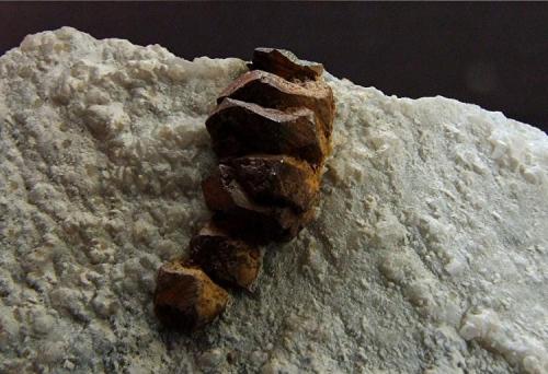 Pyrite on Aragonite
Haider Quarry, Radl Pass, Eibiswald, Wies, Koralpe, Styria, Austria.
Pyrite group 20 mm long (Author: nurbo)