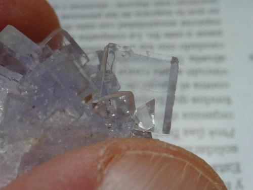 Fluorita<br />Emilio Mine, Obdulia vein, Caravia mining area, La Rubiera, Loroñe, Colunga, Comarca de la Sidra, Principality of Asturias (Asturias), Spain<br />4 x 3 cm.<br /> (Autor: javier ruiz martin)