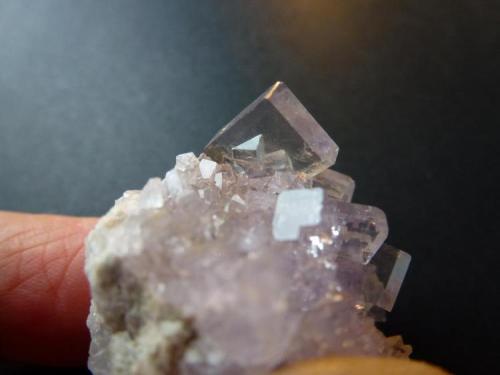Fluorita<br />Emilio Mine, Obdulia vein, Caravia mining area, La Rubiera, Loroñe, Colunga, Comarca de la Sidra, Principality of Asturias (Asturias), Spain<br />4 x 3 cm.<br /> (Autor: javier ruiz martin)