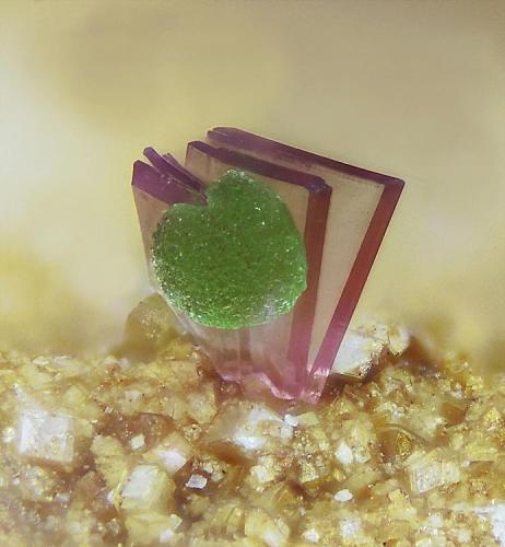 Eritrina y conicalcita.
Concesión La Cena del Depósito, Cerro Minado, Cuesta Alta, Huercal Overa, Almería, Andalucía, España.
Campo de visión 0,5 mm. (Autor: Juan Miguel)