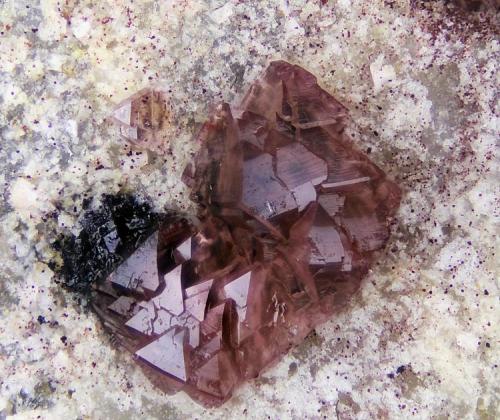 Sin analizar.
Concesión La Cena del Depósito, Cerro Minado, Cuesta Alta, Huercal Overa, Almería, Andalucía, España.
Campo de visión 0,7 mm. (Autor: Juan Miguel)