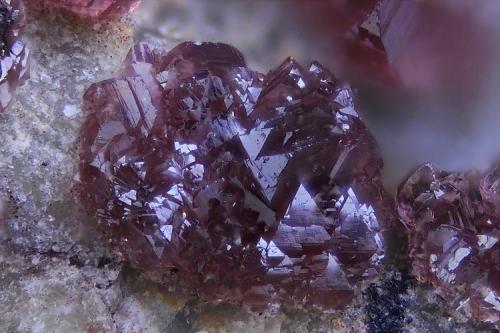 Sin analizar.
Concesión La Cena del Depósito, Cerro Minado, Cuesta Alta, Huercal Overa, Almería, Andalucía, España.
Campo de visión 1 mm. (Autor: Juan Miguel)