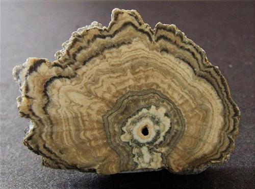 Barite
Northside mines, Arkengarthdale, North Yorkshire, England, UK.
30 x 24 mm (Author: nurbo)