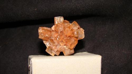 Aragonite
Tazouta Mine, Sefrou, Sefrou, Fès-Boulemane, Morocco
3.15cm x 2.74cm x 1.91cm (Author: trtlman)