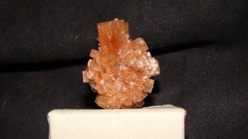 Aragonite
Tazouta Mine, Sefrou, Sefrou, Fès-Boulemane, Morocco
3.51cm x 2.59cm x 1.65cm (Author: trtlman)