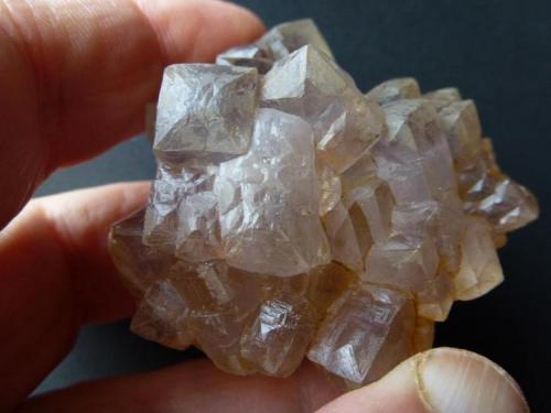 Fluorita<br />San Lino Quarry, Aurora vein, Caravia mining area, Cerracín, Prado, Caravia, Comarca Oriente, Principality of Asturias (Asturias), Spain<br />5 x 5,5 cm.<br /> (Autor: javier ruiz martin)