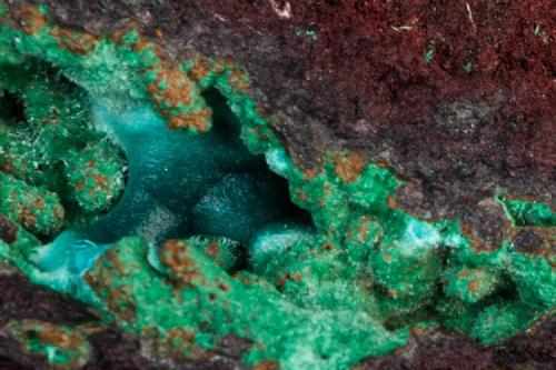 Rosasita con Malaquita
Mina Ojuela, Mapimí, Durango, México
9x7 cm
Detalle de la anterior (Autor: victor chaul chamut)