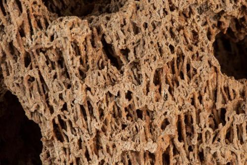 Formación arenisca
Desierto de Samalayuca, Chihuahua, México.
52x41 cm
Detalle de la anterior (Autor: victor chaul chamut)