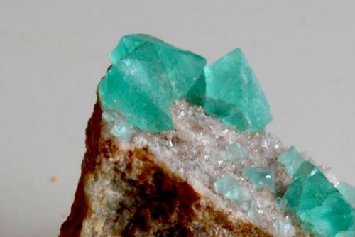 Fluorita.
Mina Berta, Sant Cugat del Vallès-El Papiol, Vallès Occidental, Barcelona, Catalunya, España.
Medidas pieza: 4,3x3,1x3 cm, Medidas cristal mayor: 0,8x0,8x0,7 cm. (Autor: Sergio Pequeño)