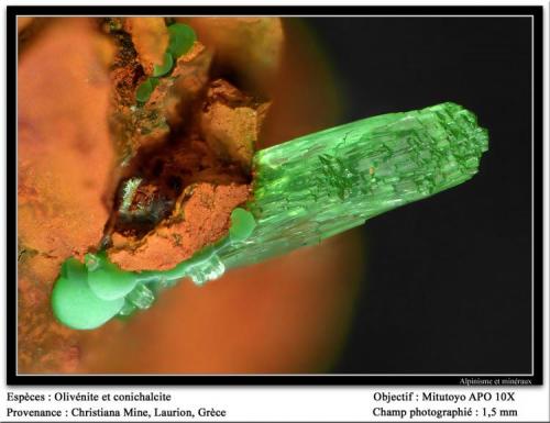 Olivenite
Christiana mine, Laurion, Attika, Greece
fov 1.5 mm (Author: ploum)