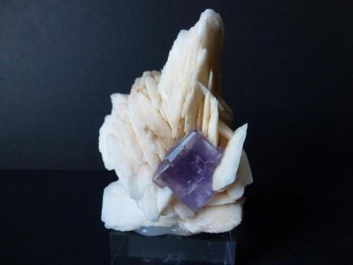 Fluorita y barita<br />La Cabaña, Valdelmar, zona minera de Berbes, Berbes, Ribadesella, Comarca Oriente, Principado de Asturias (Asturias), España<br />6 x 5 cm.<br /> (Autor: javier ruiz martin)