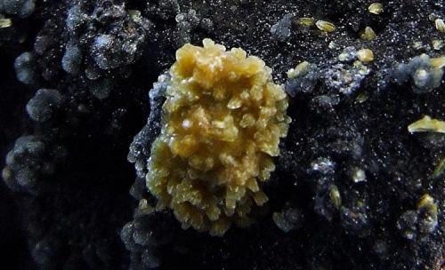 Pyromorphite on Campylite
Dry Gill Mine, Caldbeck Fells, Cumbria, England, UK.
Pyromorphite cluster 6 mm across (Author: nurbo)