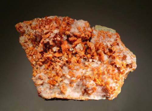 Vanadinite
Grey Horse Mine, Dripping Springs Mts., Pinal Co., Arizona
7.5 x 10.0 cm
Collected in June 1976 by Gary Fleck. (Author: crosstimber)