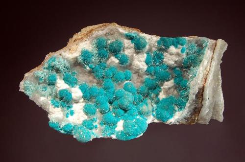 Aurichalcite
’79 Mine, 350’ Stope, Hayden, Banner District, Gila Co., Arizona
4.5 x 8.1 cm
Turquoise spheres of aurichalcite with drusy gray/white smithsonite. (Author: crosstimber)
