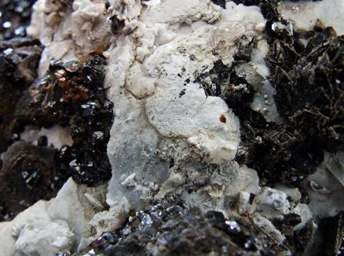 Witherite, Sphalerite, Ankerite, Baryte.
Nentsberry Haggs mine, Alston moor, Cumbria, England, UK.
FOV 40 x 30 mm (Author: nurbo)