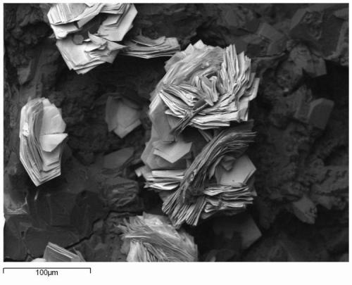 Tyuyamunita
Mina Eureka, La Plana de Mont Ros, Lérida, Cataluña, España
Las preciosas tyuyamunitas de mina Eureka, obtenidas para una colaboración con Revista de Minerales (Autor: Cesar M. Salvan)