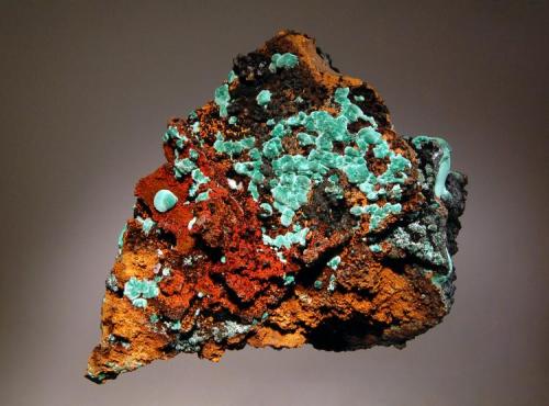 Malachite
Cole Shaft, 1200’ Level, Bisbee, Warren District, Cochise Co., Arizona
8.5 x 12.0 cm. (Author: crosstimber)