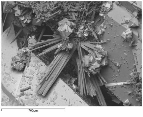 Rockbridgeita y Magnetita
El Laco, Antofagasta, Chile
Este es otro problema habitual. Esto parecía ser un fosfato de hierro completamente nuevo. Al avanzar en el proceso de descripción descubrimos que es una variedad de la rockbridgeíta. (Autor: Cesar M. Salvan)