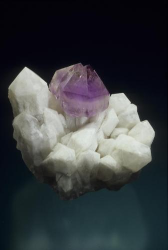 Quartz variety amethyst scepter
Hopkinton, Washington Co., Rhode Island, USA
6.1 cm high
Steve Smale collection
Photo: Jeff Scovil (Author: Jordi Fabre)