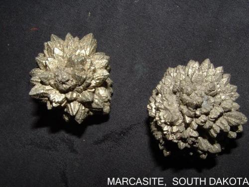 Marcasite
Belle Fourche Reservoir, South Dakota, USA
2.5 x 2.5 cm (Author: Joseph D'Oliveira)