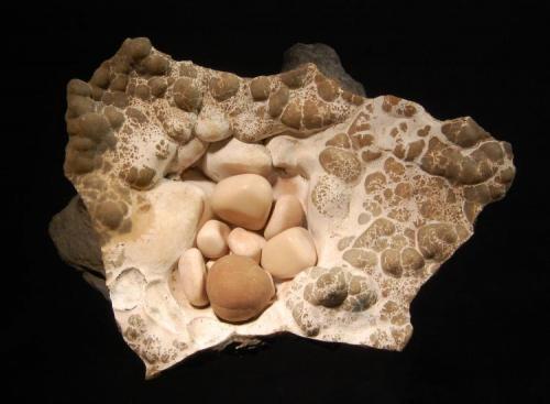 Aragonite var. "cave pearls"
Rohrig Shaft, Wettelrode, Sangerhausen, Saxony-Anhalt, Germany
8.0 x 10.0 cm (Author: crosstimber)