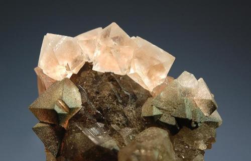 Fluorite
Argentiere Massif, Chamonix, Mont Blanc, Haute-Savoie, France
4.2 x 5.7 cm.
Octahedral fluorite on smoky quartz with chlorite. (Author: crosstimber)