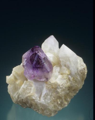 Quartz variety amethyst scepter
Hopkinton, Washington Co., Rhode Island, USA
5.3 cm high
Steve Maslansky collection
Photo: Jeff Scovil (Author: Jordi Fabre)